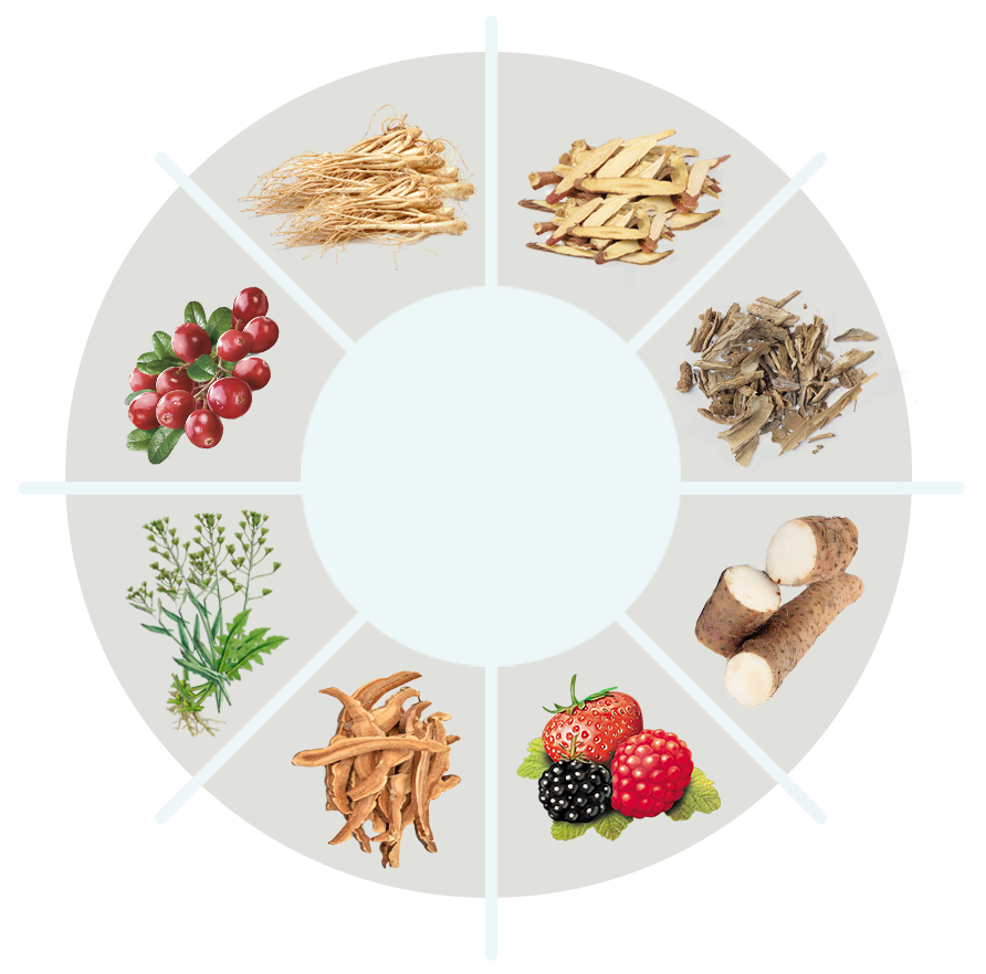 LavaSlim ingredient circle
